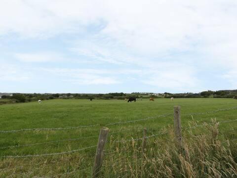 Ty Rhos, Farm Stay, Sleeps 4, Rhoshirwaun 2 Miles From Aberdaron Eksteriør billede