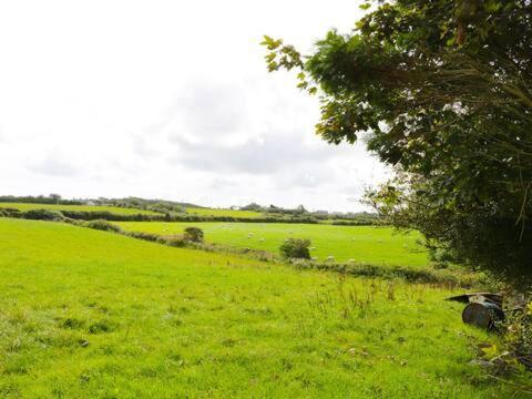 Ty Rhos, Farm Stay, Sleeps 4, Rhoshirwaun 2 Miles From Aberdaron Eksteriør billede